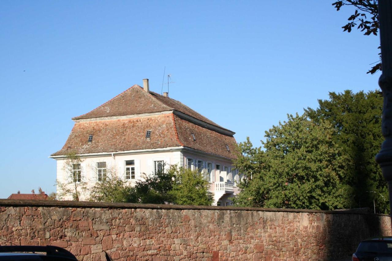 Spatzennest In * Edesheim
