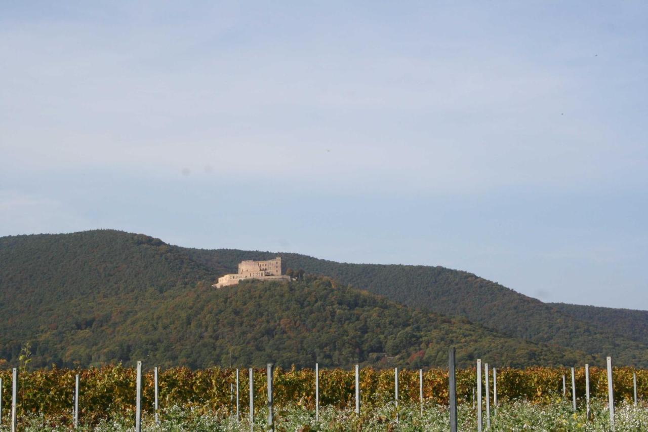 Spatzennest In Edesheim