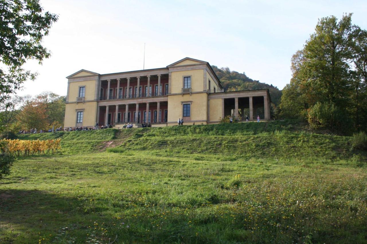 Spatzennest In Edesheim